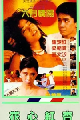 欧美成人h