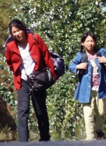 在线免费黄色